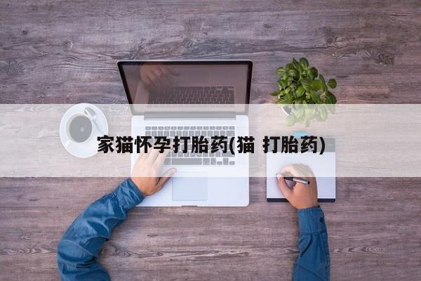 打胎药购买方式家猫怀孕打胎药(猫 打胎药)
